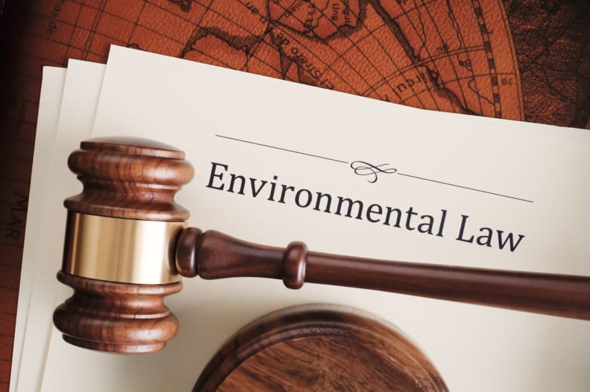 What Are The Requirements For An Environmental Law Degree?