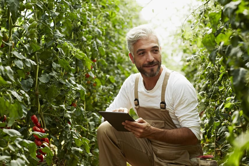 Best Online Bachelor’s In Agriculture Programs
